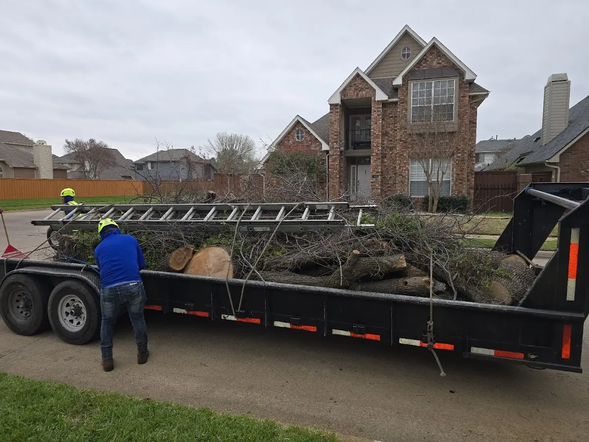 Expert Lot Clearing with proper safety equipment in Hilger